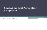 Sensation and Perception Chapter 4