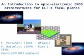 An  Introduction  to opto- electronic  CMOS  architectures  for  ELT’s focal planes