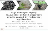 High nitrogen supply alleviates reduced sugarbeet growth caused by hydrochar application
