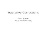 Radiative  Corrections
