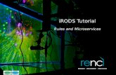 iRODS Tutorial Rules and Microservices