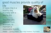 Grizzly Dream  –  Your dogs masseur / by Anette Englykke