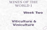 Wines of the world I