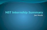 NST  Internship Summary