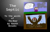 The Septic