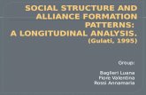 SOCIAL STRUCTURE AND ALLIANCE FORMATION PATTERNS:  A LONGITUDINAL ANALYSIS. (Gulati, 1995)