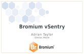 Bromium vSentry