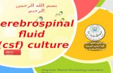 Cerebrospinal fluid  ( csf) culture