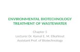 ENVIRONMENTAL BIOTECHNOLOGY TREATMENT OF WASTEWATER