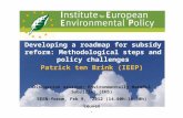 Developing a roadmap for subsidy reform: Methodological steps and policy challenges