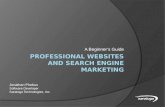 Professional Websites and Search Engine Marketing