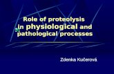 Role of proteolysis  in  physiological  and pathological processes