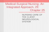 Medical-Surgical Nursing: An   Integrated Approach, 2E Chapter 25
