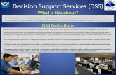 Decision Support Services (DSS)