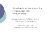 Small Animal Ventilator for Hyperpolarized  Helium MRI