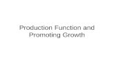 Production Function and Promoting Growth