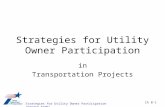 Strategies for Utility Owner Participation