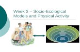 Week 3 – Socio-Ecological Models and Physical Activity
