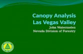 Canopy Analysis Las Vegas Valley