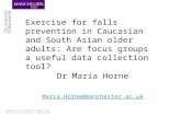 Exercise for falls prevention in Caucasian and South Asian older adults: Are focus groups a useful data collection tool?