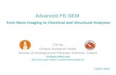 Advanced FE-SEM :  from Nano-imaging to Chemical and Structural Analyses