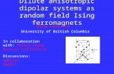 Dilute anisotropic dipolar systems as random field Ising ferromagnets