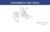 Articulations and Joints