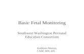 Basic Fetal Monitoring