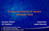 Transmutation of spent nuclear fuel