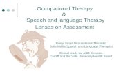 Occupational Therapy  &    Speech and language Therapy  Lenses  on Assessment