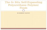 The  In Situ  Self-Expanding Polyurethane Polymer Foam