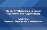 Security Strategies in Linux Platforms and Applications Lesson  11 Managing Security Alerts and  Updates