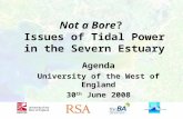 Not a Bore ?  Issues of Tidal Power in the Severn Estuary