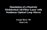 Simulation of a Passively Modelocked All-Fiber Laser with Nonlinear Optical Loop Mirror
