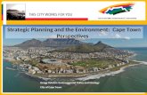 Strategic Planning and the Environment:  Cape Town Perspectives