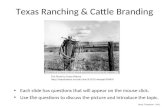 Texas Ranching & Cattle Branding