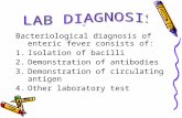 Bacteriological diagnosis of enteric fever consists of: Isolation of bacilli Demonstration of antibodies Demonstration of circulating antigen