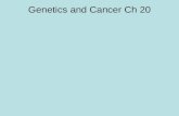Genetics and Cancer Ch 20