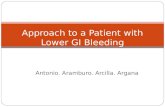 Approach to a Patient with Lower GI Bleeding