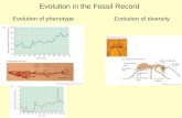 Evolution in the Fossil Record