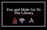 Fox and Mule Go To The Library
