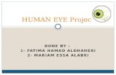 HUMAN  EYE  Project