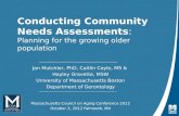 Conducting Community Needs Assessments :  Planning for the growing older population