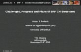 Challenges , Progress  and P lans  of  SRF CH- Structures