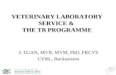 VETERINARY LABORATORY SERVICE &  THE TB PROGRAMME