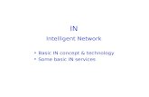 IN Intelligent Network