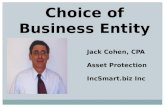 Choice of Business Entity