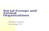 Social Groups and  Formal Organizations