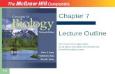 Chapter 7 Lecture Outline See PowerPoint Image Slides for all figures and tables pre-inserted into PowerPoint without notes.
