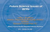 Future Science Issues of BFRs